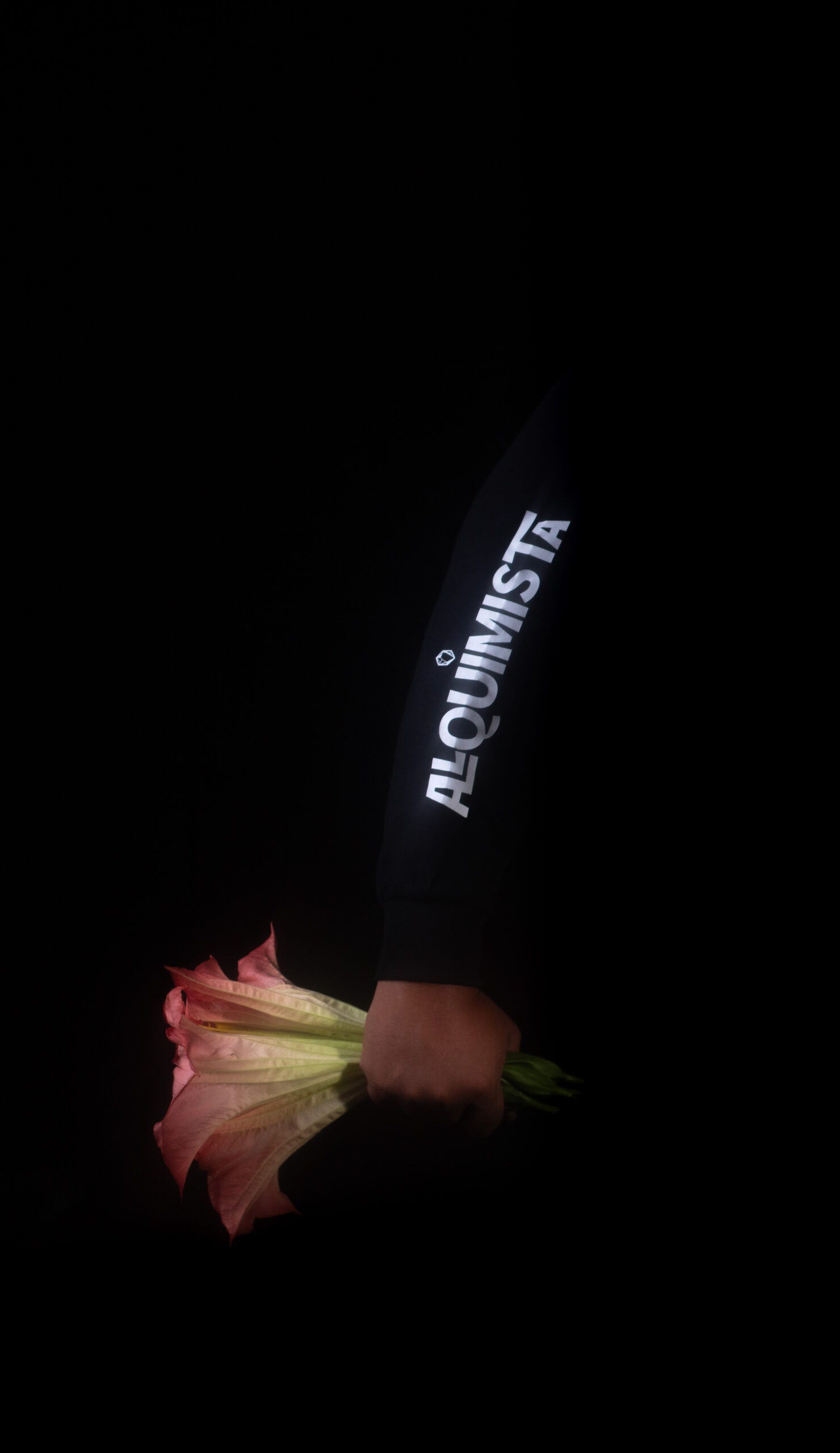 Jasper Palmer sosteniendo flores rosadas sobre un fondo negro