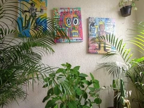Plantas de interior y dibujos de colores en la pared